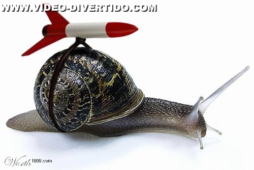 Caracol Armado