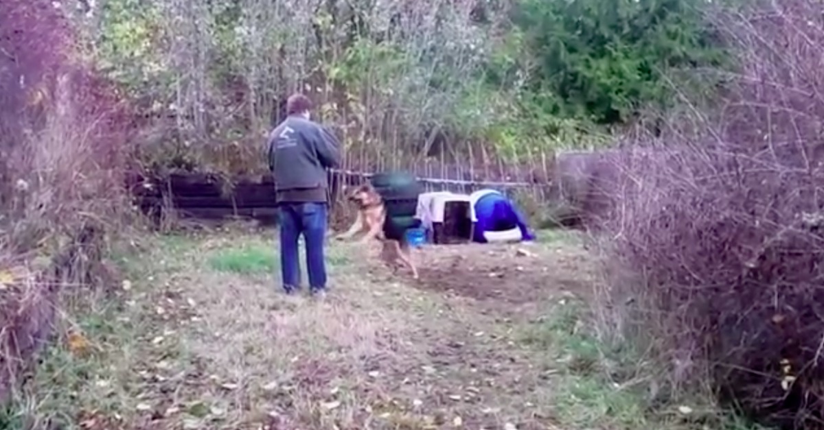 Homem liberta cão que viveu acorrentado toda a vida