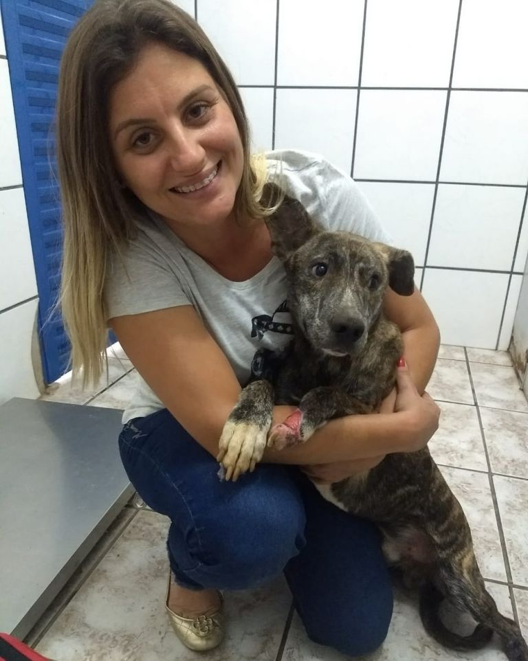 Veterinário atira-se em represa para salvar cão com atrofia em pata