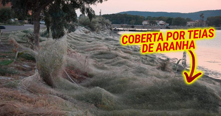 Praia na Grécia coberta por 300 metros de teia de aranha