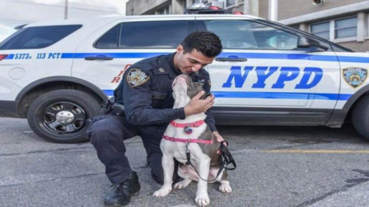 Policia adopta cadela após encontrá-la amarrada em prédio abandonado