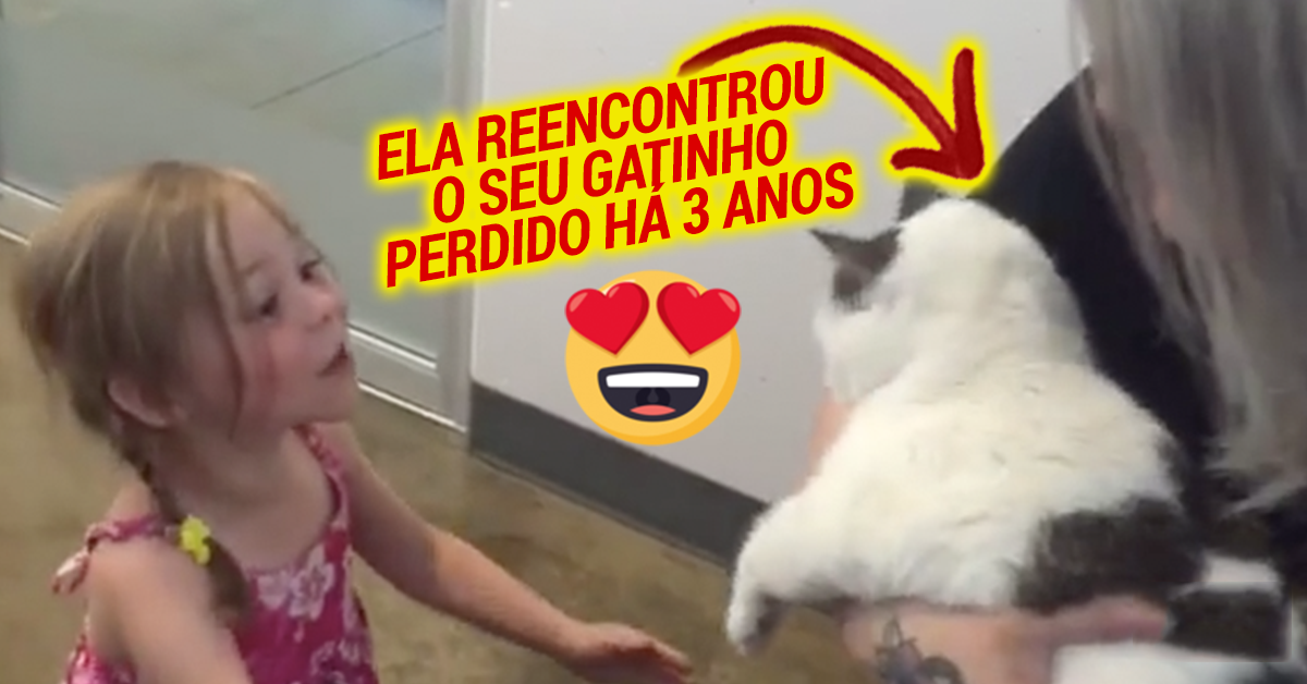 Menina reencontra o seu gato desaparecido há 3 anos