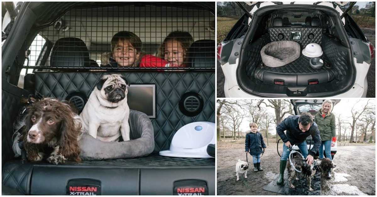 Nissan lança carro pensado para transportar cães