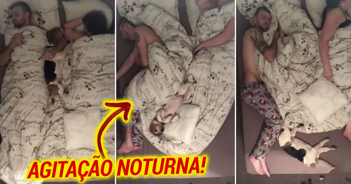 Casal grava timelapse para mostrar como a noite é agitada