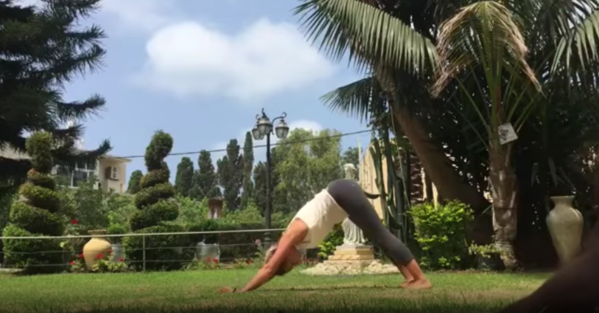 Cão decide acompanhar dona em aula de Yoga mas a posição para a câmara não foi a melhor