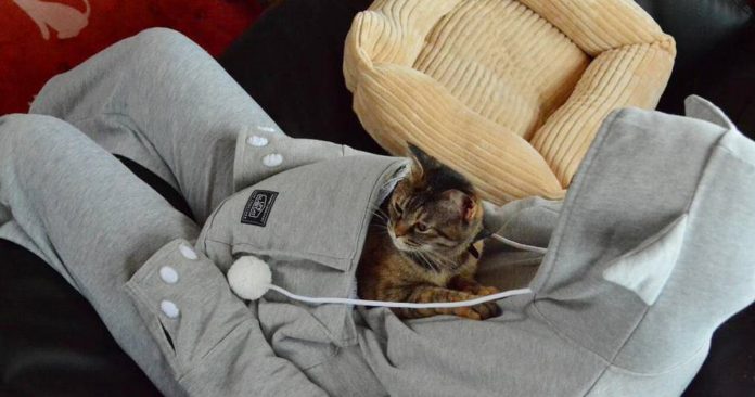 Esta sweatshirt tem um bolso tipo canguru onde podes transportar o teu animal de estimação