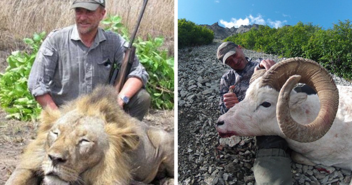 Veterinário que tirou foto com leão que matou, morreu a caçar pássaros