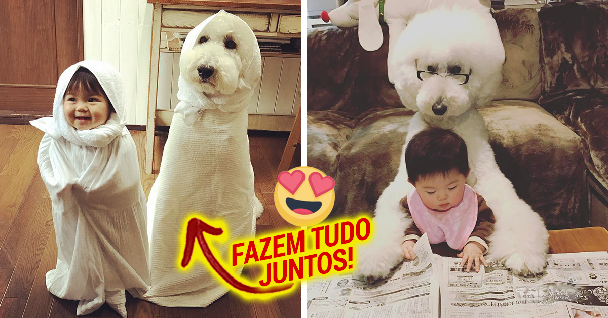 Esta menina japonesa e o seu Poodle de estimação vão fazer o teu dia!