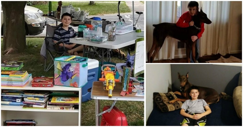 Menino vende todos os seus brinquedos para ajudar a pagar o tratamento do seu cão