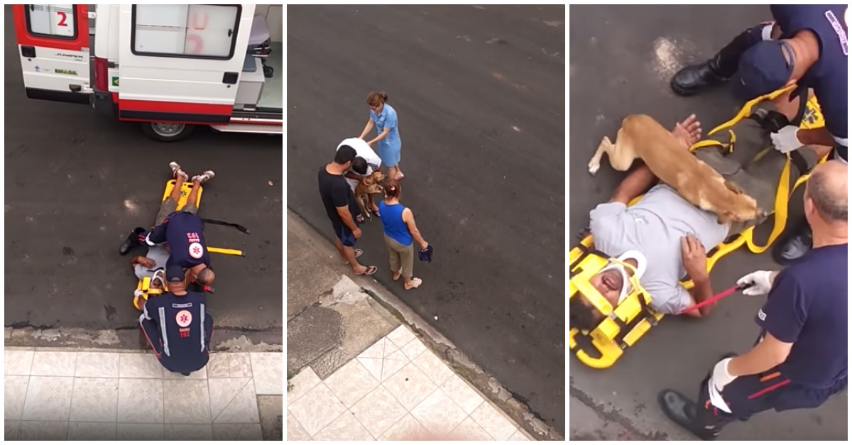 Cão fica extremamente preocupado com o seu humano ferido