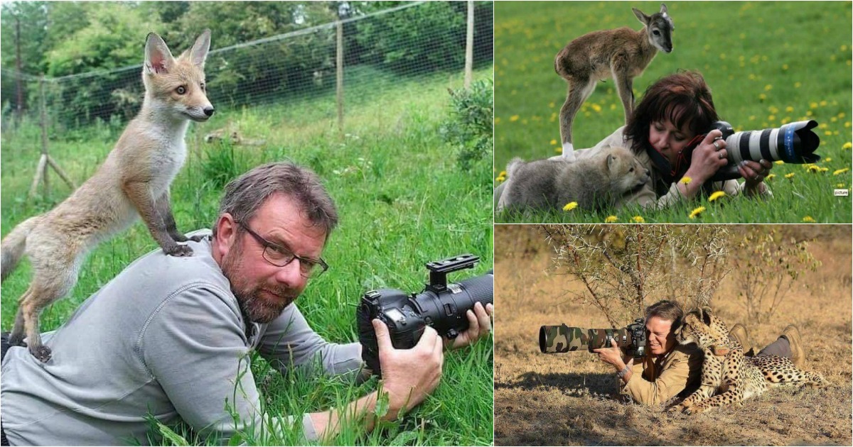 É assim que pessoas de verdade disparam sobre os animais