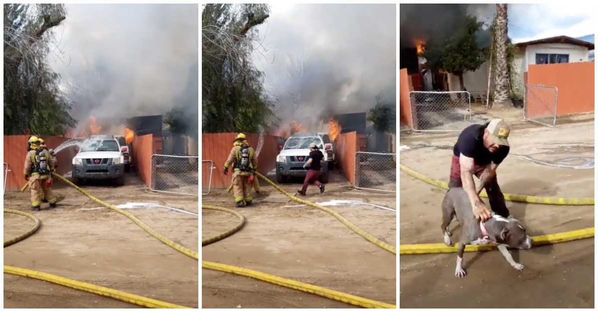 Homem resgata o seu cão do fogo mesmo contra as indicações dos bombeiros