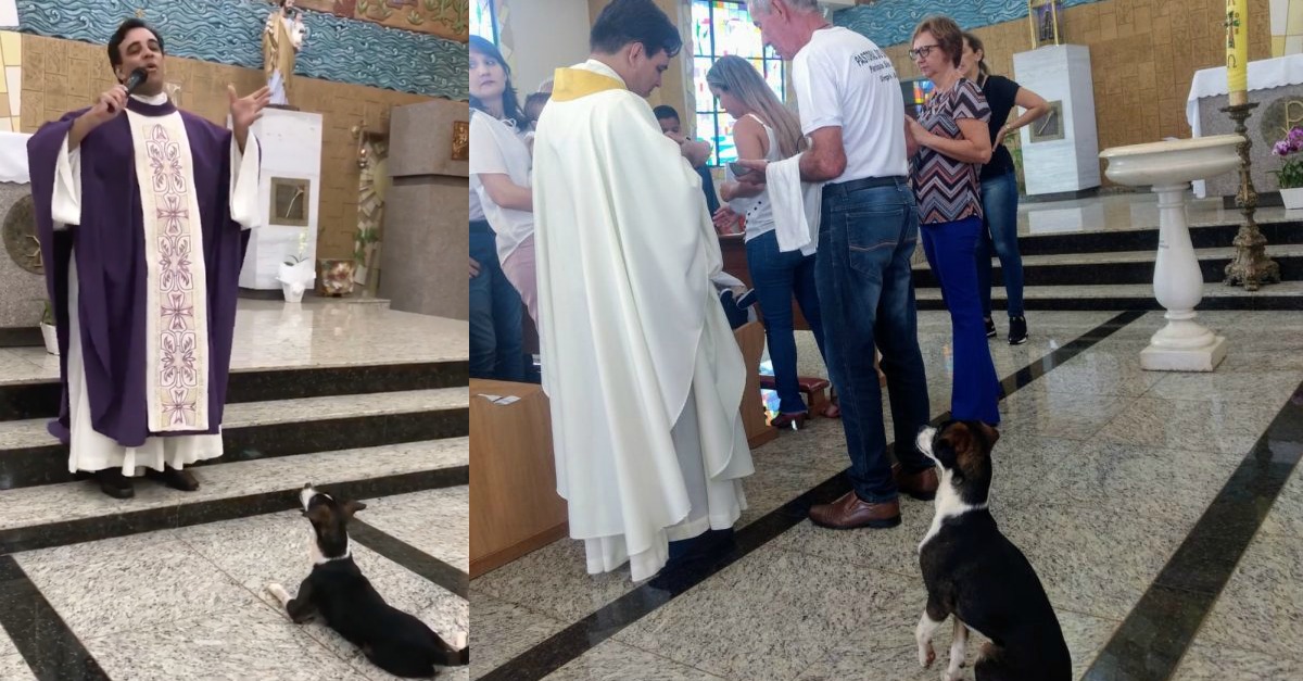 Cão assiste à missa até ao fim... à espera da hóstia