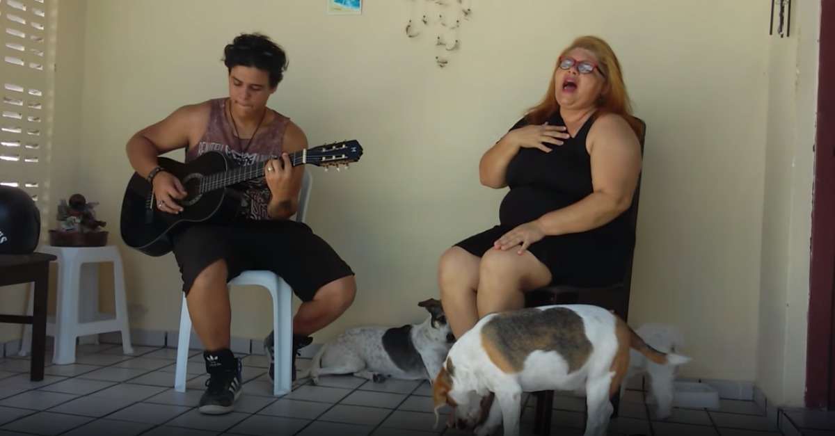 Cães deixam-se levar pela música romântica dos donos e protagonizam momento hilariante