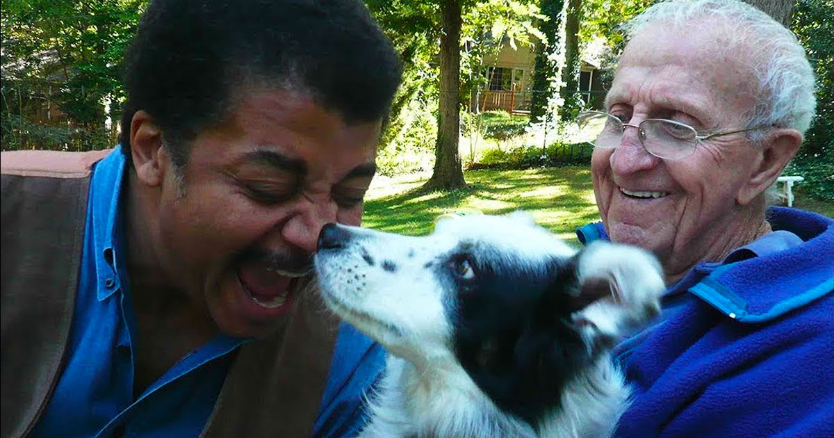 Border Collie mostra a sua inteligência deixando Neil deGrasse Tyson estupefacto