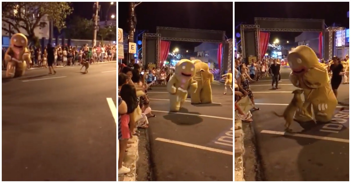 Cão enlouquece e fica descontrolado ao ver biscoitos gigantes à solta na rua