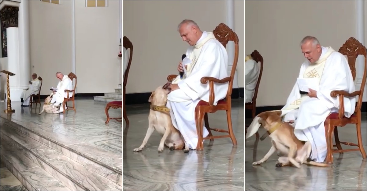 Cão invade igreja durante a missa e não deixa o padre em paz