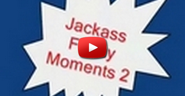 Jackass Melhores momentos2