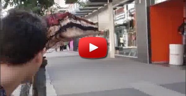 Velociraptor visto na cidade de Melbourne, Austrália